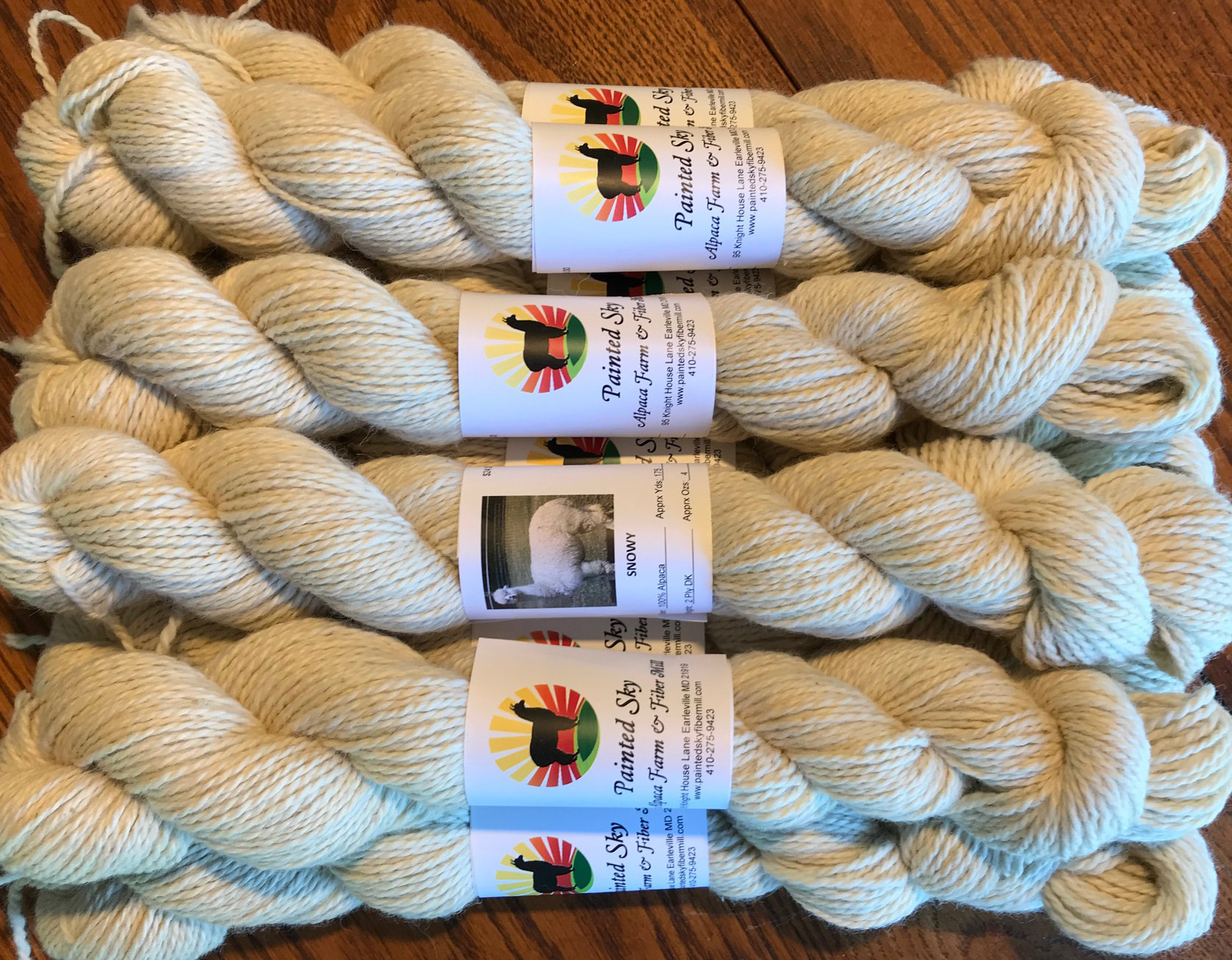 Handpainted Alpaca Yarn - DK Weight